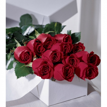 Bouquet of One Dozen Roses